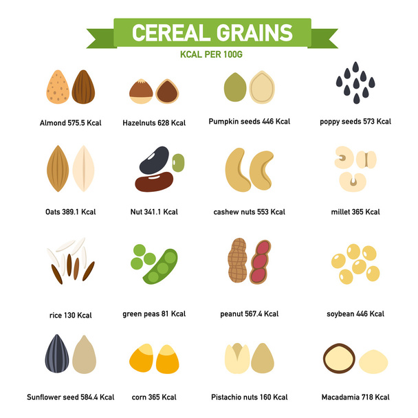 kilocalorie in cereal grains per100 gram infographics.vector - Vector, Image