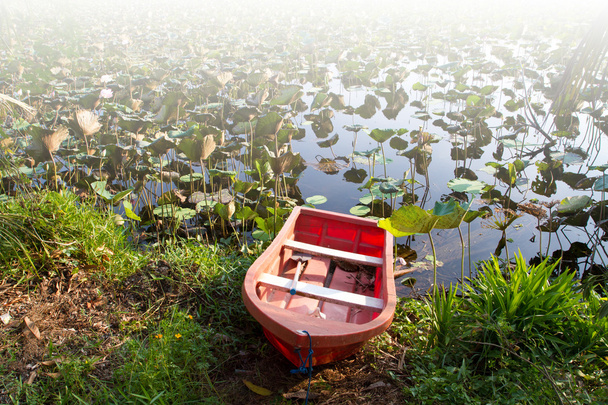 Red Boat in the river with blossom lotus garden - Photo, Image