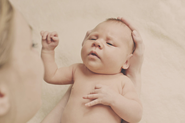 newborn in mother's hands - 写真・画像