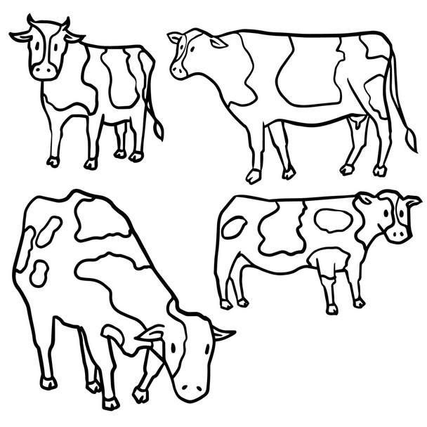 векторный набор коровы
 - Вектор,изображение