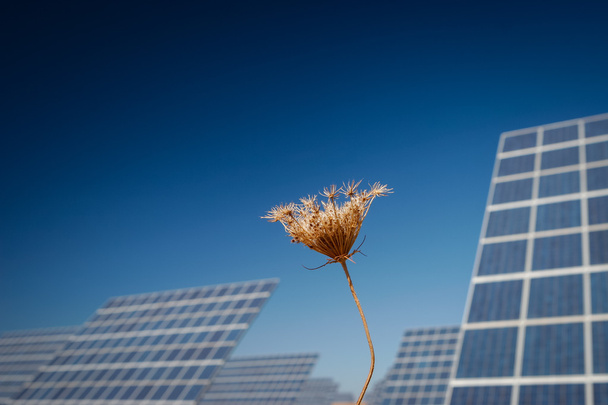 太陽エネルギー農場 - ストック イメージ - 写真・画像