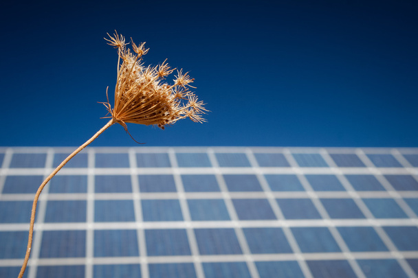 Ηλιακή ενέργεια Farm - εικόνα αποθεμάτων - Φωτογραφία, εικόνα