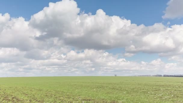 Rusko, timelapse. Pohyb mraků nad poli ozimé pšenice v předjaří v rozlehlé stepi Don. - Záběry, video
