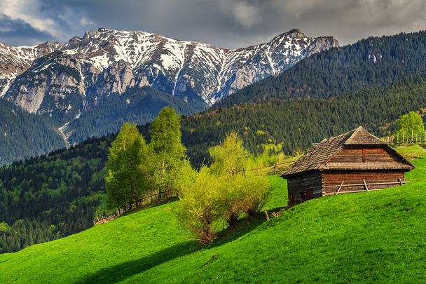 Paisaje alpino de primavera cerca de Bran, Transilvania, Rumania, Europa
 - Foto, imagen