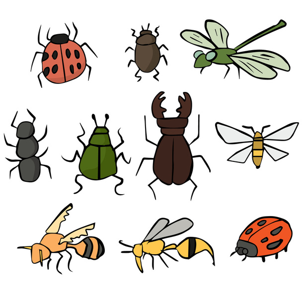 昆虫のベクトルを設定 - ベクター画像