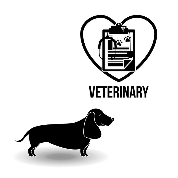 vétérinaire clinique conception
 - Vecteur, image