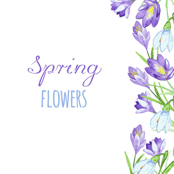 Début printemps violet crocus et gouttes de neige nature beauté fleurs vecteur
. - Vecteur, image