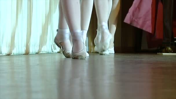 színházi, hattyúk, balett-táncosok - Felvétel, videó