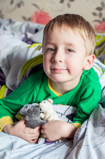 Chłopiec w łóżku z ich ulubionych zabawek - Zdjęcie, obraz