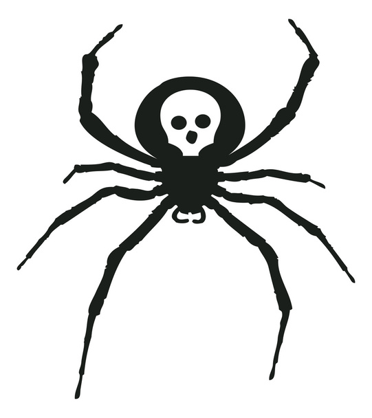 black spider with skull - Vector, Image