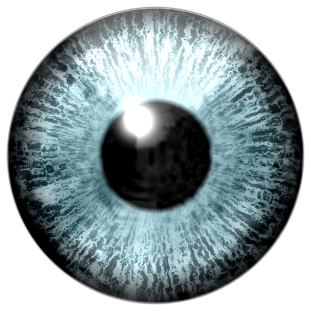 Detalle del ojo con iris de color azul claro y pupila negra
 - Foto, Imagen