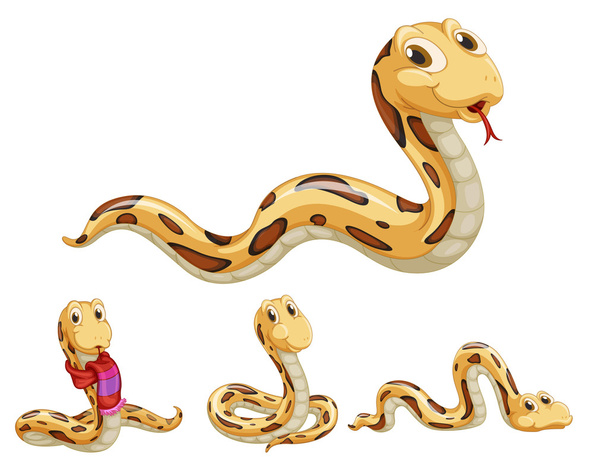 Серия Snake
 - Вектор,изображение