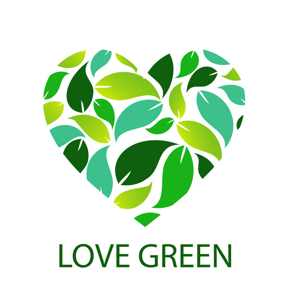 Love green with green leaves forming heart - Διάνυσμα, εικόνα