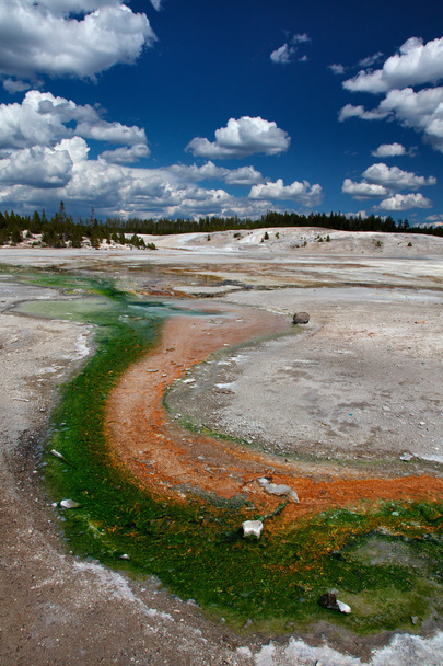Yellowstone. - Foto, Imagem
