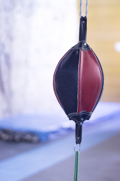 Спидбольная боксерская боксерская груша
 - Фото, изображение