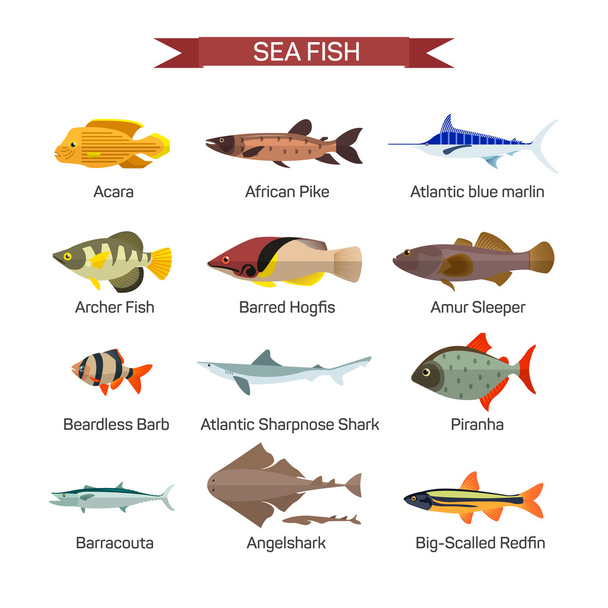 Fish vector set in flat style design. Ocean, sea and river fishes icons collection - Vecteur, image