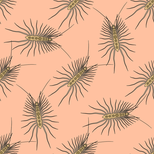 Seamless pattern with Scutigera coleoptrata. millipede. hand-drawn house centipede . Vector - Vector, Image