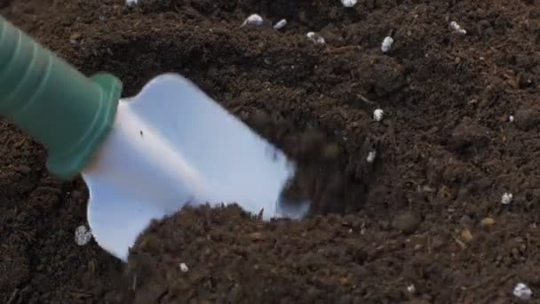 Mezcla de suciedad con fertilizante con pala de mano
 - Metraje, vídeo