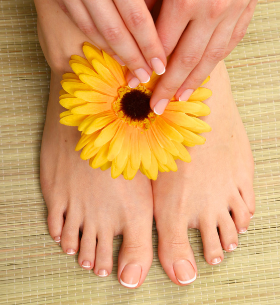 Όμορφα πόδια με τέλεια spa γαλλικό πεντικιούρ των νυχιών - Φωτογραφία, εικόνα