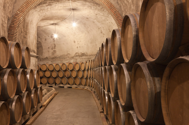 Barrels of wine - Photo, Image