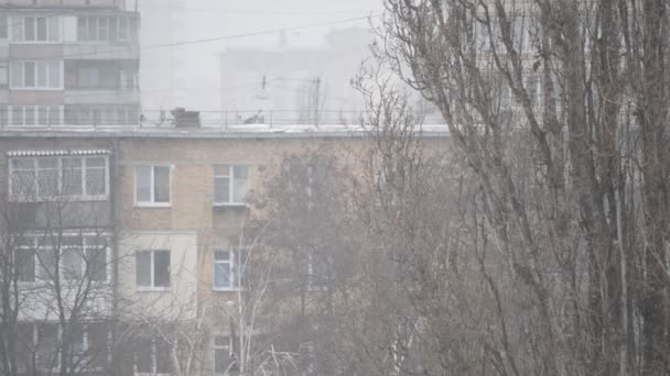 Fine snow falling on background of apartment blocks - Filmati, video