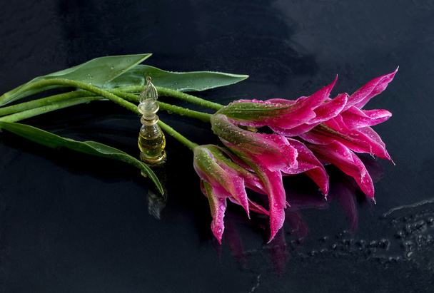 stilleven met tulpen - Foto, afbeelding