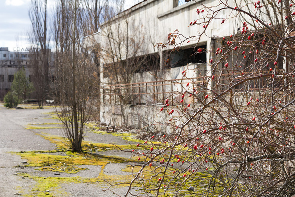 Oekraïne. Tsjernobyl uitsluiting Zone. -2016.03.19. Gebouwen in de verlaten stad Pripyat - Foto, afbeelding