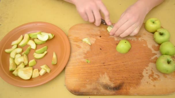 Odstranění jablko jádra a řezání jablka na plátky - Záběry, video