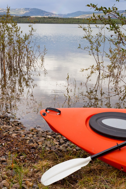 Kayak y remo en sauces junto a un lago
 - Foto, imagen