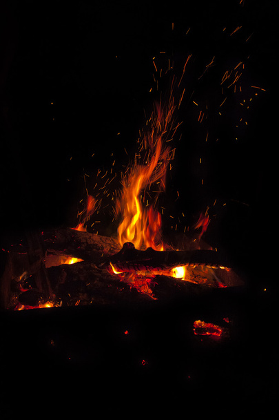 Bonfire - Photo, Image