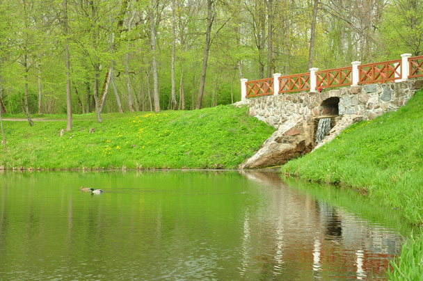 Pond in park - Фото, зображення