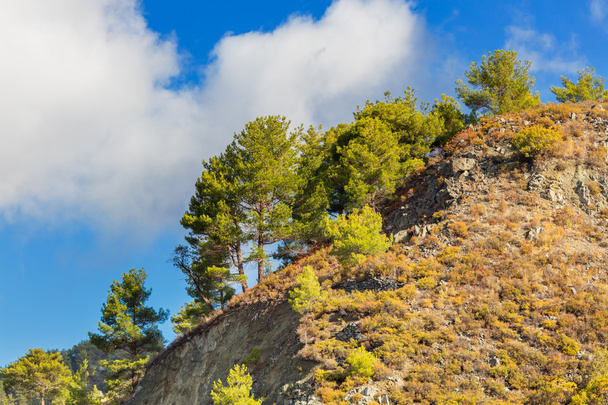 Landscape in Troodos mountains - Photo, Image