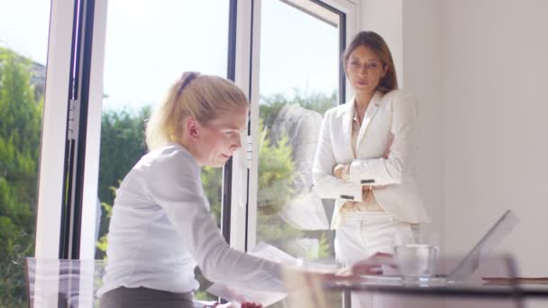 businesswomen working in office - Materiaali, video