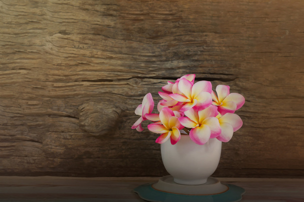 Frangipani flor rosa en taza blanca con fondo de madera
 - Foto, Imagen