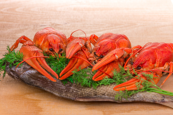 crayfish and fish  for Beer - Photo, Image
