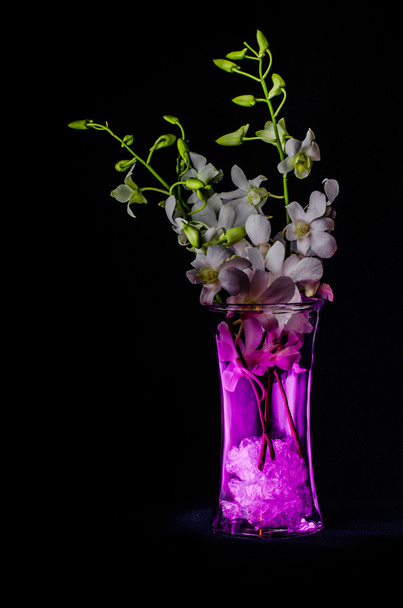 Pieni valkoinen orkidea maljakossa
 - Valokuva, kuva