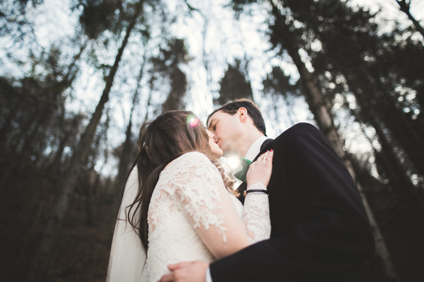 Wedding couple posing near pine forest.  Newlyweds in love - Zdjęcie, obraz
