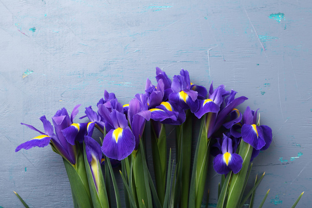 fresh iris bouquet - Zdjęcie, obraz