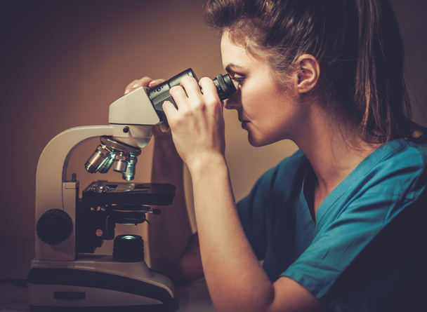 Vétérinaire confiant examinant le test au microscope dans une clinique vétérinaire
. - Photo, image