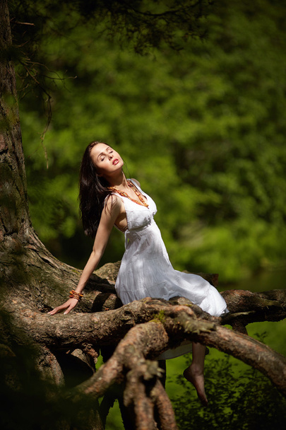 beautiful girl on old tree - Фото, изображение