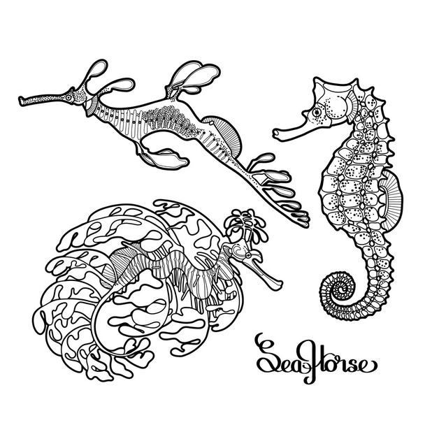 Grafika wektorowa kolekcja Seahorse - Wektor, obraz