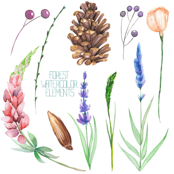 A set, collection with the floral isolated watercolor forest elements (berries, cones, lavender, wildflowers and branches) - Photo, Image