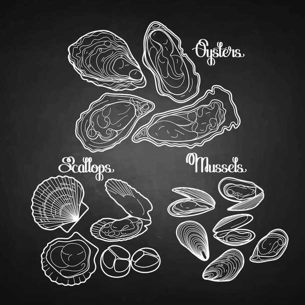 Graphic vector mussels, oysters and scallops - Vector, Image