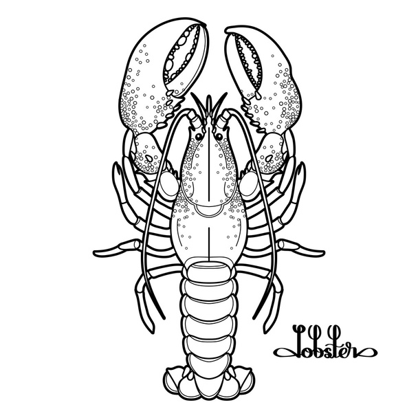Graphic vector lobster - Vector, Image