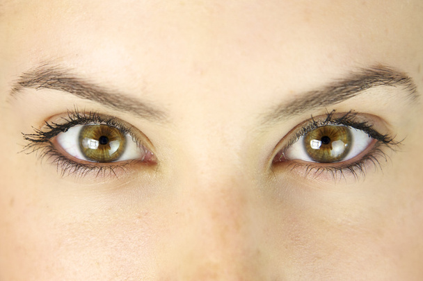 Amazing green eyes close up - Фото, изображение