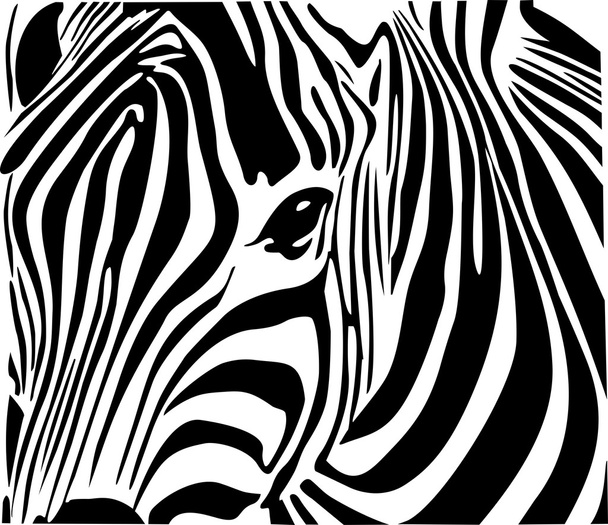 zebra in afrika - Vektor, Bild