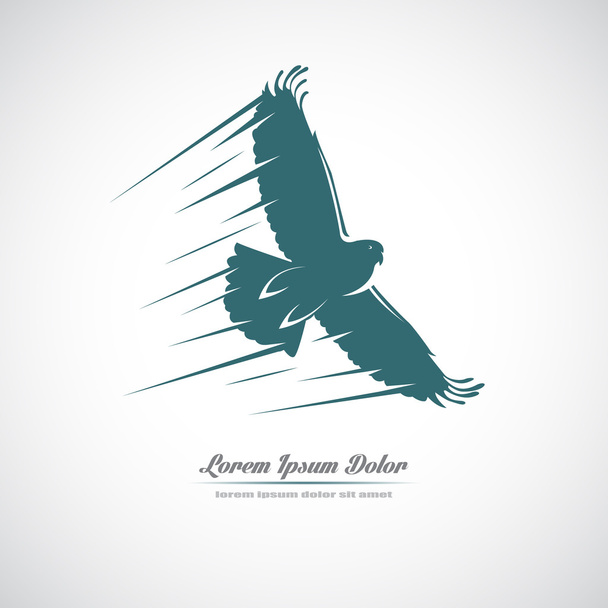 Icon with a soaring eagle. - Vektor, obrázek