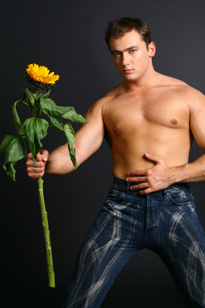 Sunflower - Fotografie, Obrázek