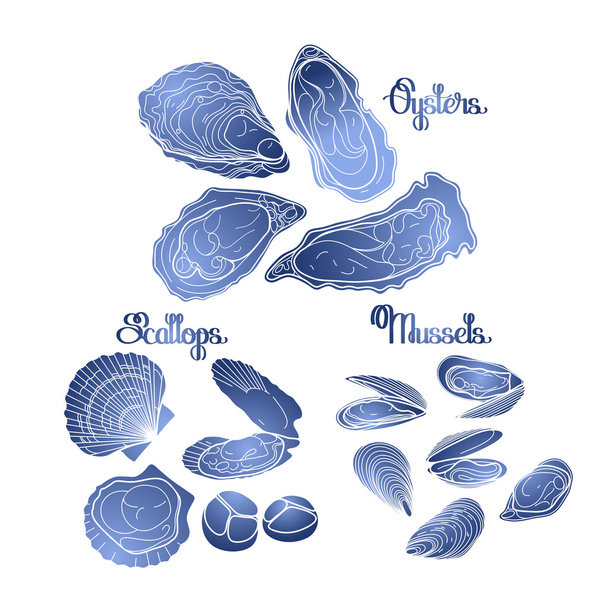 Mexilhões, ostras e vieiras, vetores gráficos
 - Vetor, Imagem