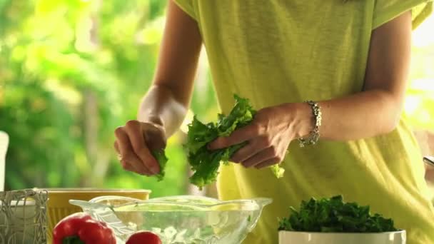 Woman hands picking salad leaves into bowl - Video